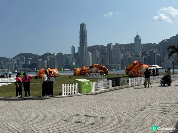 西九家FUN藝術節於19.3-12.4.2026舉行！有貓貓...