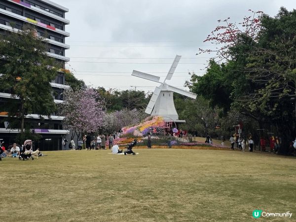 大家好～今天帶你們來到深圳的「荷花小鎮」🌸