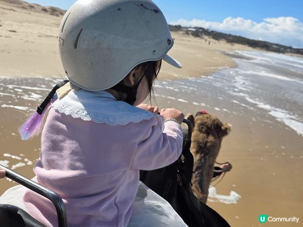 第一次騎駱駝，位於悉尼近郊的ANNA BAY 有一個沙漠，可...