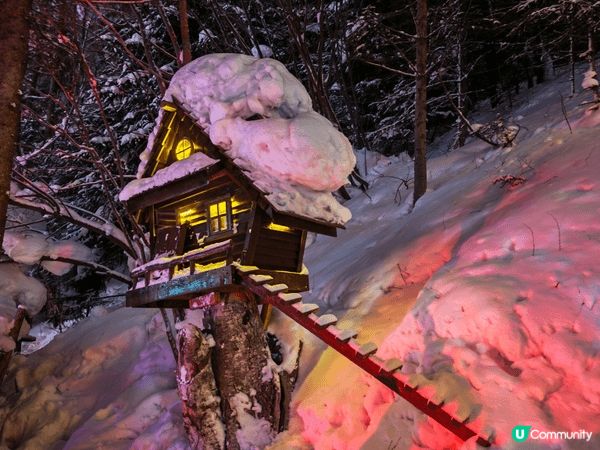 這些中國雪鄉冬季夜景打卡靚相，完美捕捉厚雪覆蓋的蘑菇木屋、紅...