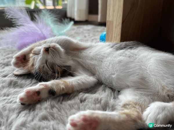 有一張是在濟洲街頭隨意拍下的黃昏街景，推介的原因是濟洲的天和...