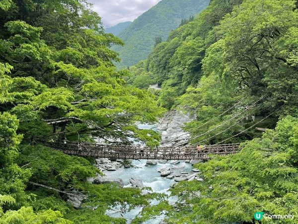 我特別喜歡四國德島的鳴門漩渦及祖谷蔓橋 因為天氣好的時候景色...