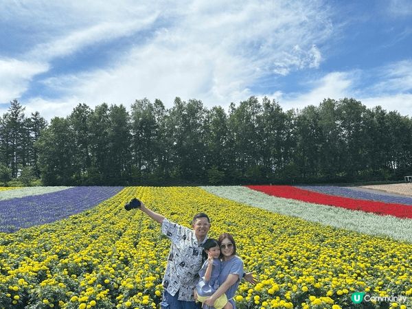 台灣，日本親子友善。玩樂購物打卡景點應有盡有。小朋友開心放電...