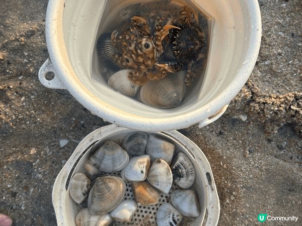 我哋今次去貝澳營地露營，同仔仔體驗戶外煮食同瞓覺，而且去咗沙...