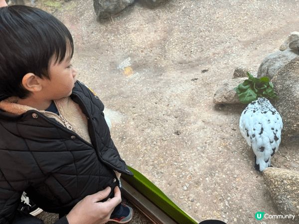 東京上野動物園，真係超級值得去，第一次去動物園非常開心，而家...