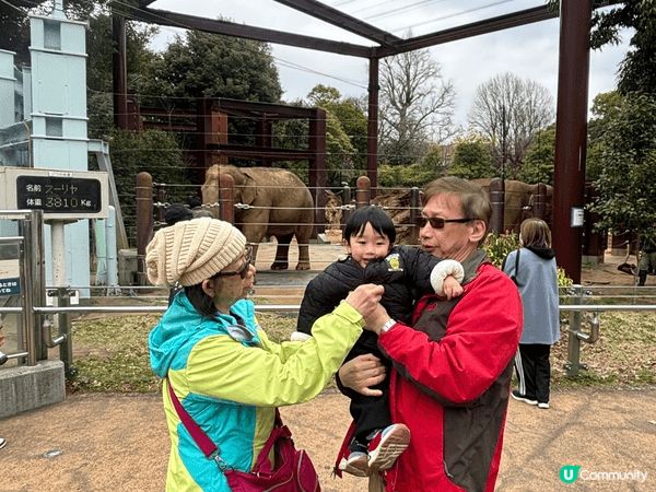 東京上野動物園，真係超級值得去，第一次去動物園非常開心，而家...