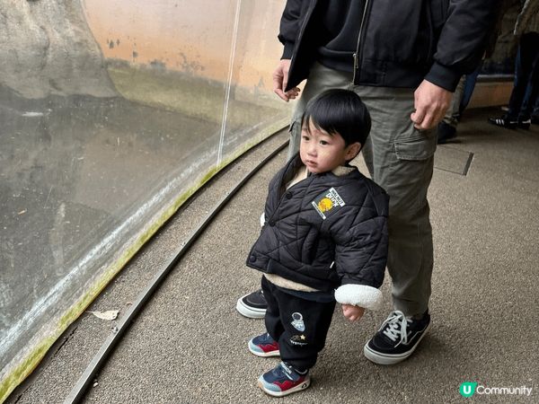 東京上野動物園，真係超級值得去，第一次去動物園非常開心，而家...