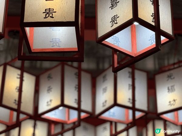 大喜貴三味火鍋，真係瀋陽打卡必到嘅寶藏景點！📸  呢間火鍋店...