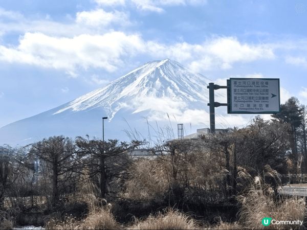 東京之旅（鐮倉、東京鐵塔、忍野八海、晴空塔、富士山倒影、富士...