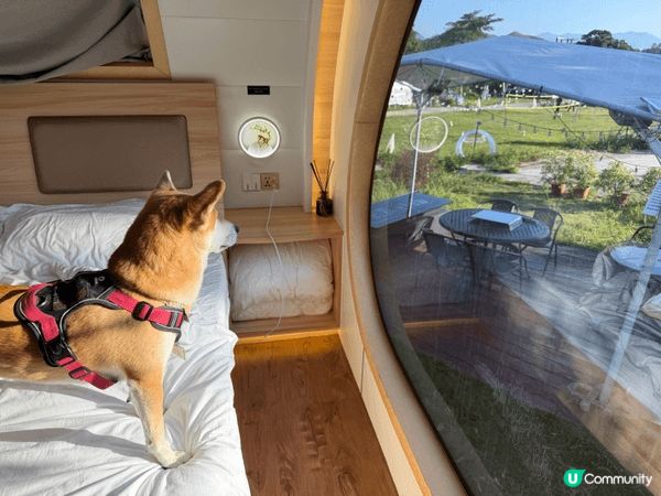 呢度係位於元朗嘅寵物露營車，寵物唔單止可以住入露營車，仲可以...