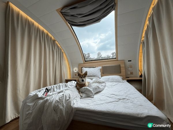 呢度係位於元朗嘅寵物露營車，寵物唔單止可以住入露營車，仲可以...