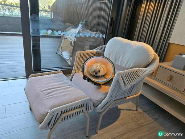 西貢WM Hotel, 西貢係一個很好的地方，當日係情人節，...