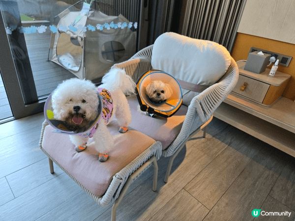 西貢WM Hotel, 西貢係一個很好的地方，當日係情人節，...