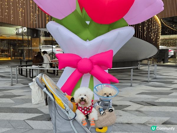 西貢WM Hotel, 西貢係一個很好的地方，當日係情人節，...