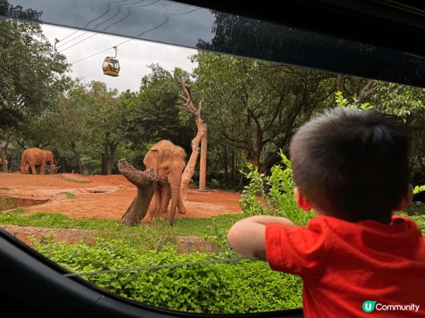 長隆野生動物園自駕遊