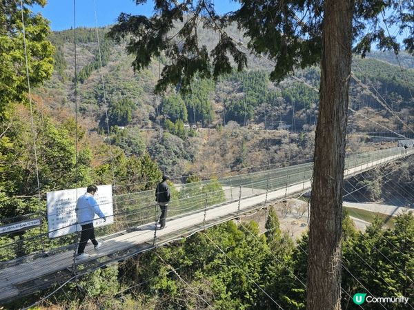 這張照片是在日本奈良縣十津川村的谷瀨吊橋（谷瀬の吊り橋）拍攝...