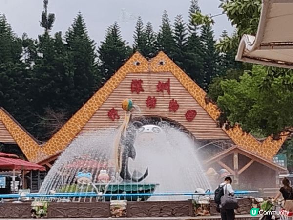 啱啱去左深圳野食動物園又玩又飲又食仲有買，周圍又好多野玩好多...
