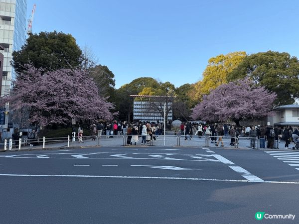 東京鐵塔歷史悠久，好值得上去參觀一下。另外就係遇到櫻花的季節...