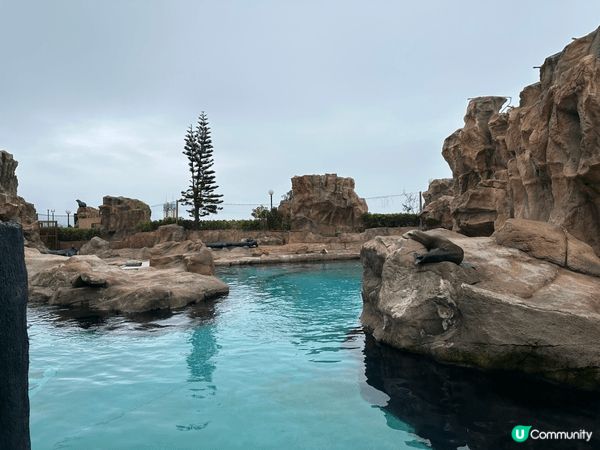 海洋公園一家大細本地遊之好地方，現在還巿優優低至半價，真的不...