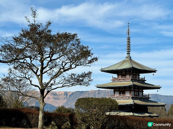 呢度係日本福岡之旅，我地帶住兩歲嘅小朋友四圍玩，海陸空樣樣齊...