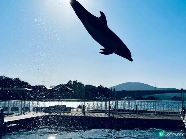 呢度係日本福岡之旅，我地帶住兩歲嘅小朋友四圍玩，海陸空樣樣齊...