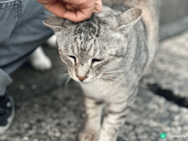 呢度係日本福岡之旅，我地帶住兩歲嘅小朋友四圍玩，海陸空樣樣齊...