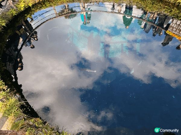 日本係香港人旅行首選，yen 平機程又近，春夏秋冬各有特色