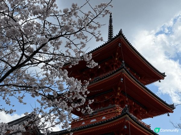 我推介大阪清水寺和大阪城。我和家人櫻花季節加上一齊著和服，係...