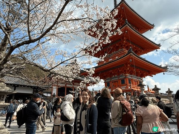 我推介大阪清水寺和大阪城。我和家人櫻花季節加上一齊著和服，係...