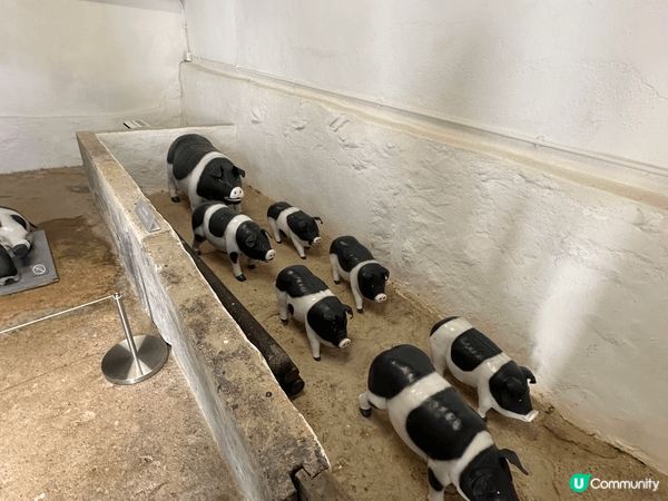 西貢 上窰文物館→曝罟灣堤圍→上窰郊遊徑，簡單易行，有文化歷...