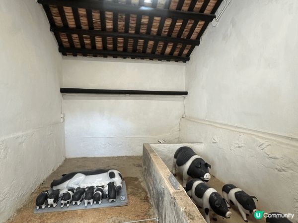 西貢 上窰文物館→曝罟灣堤圍→上窰郊遊徑，簡單易行，有文化歷...
