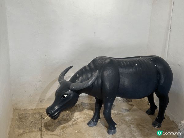 西貢 上窰文物館→曝罟灣堤圍→上窰郊遊徑，簡單易行，有文化歷...