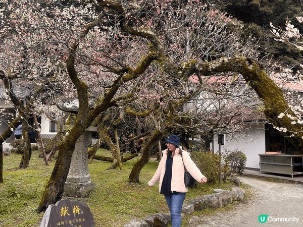 去了天后的一間創意鐵板燒餐廳吃飯，食物精美，海景一流！另外去...