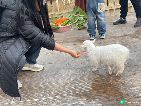 上海動物園位置易去、門票唔貴，一日遊好舒服，唔使長途跋涉。平...