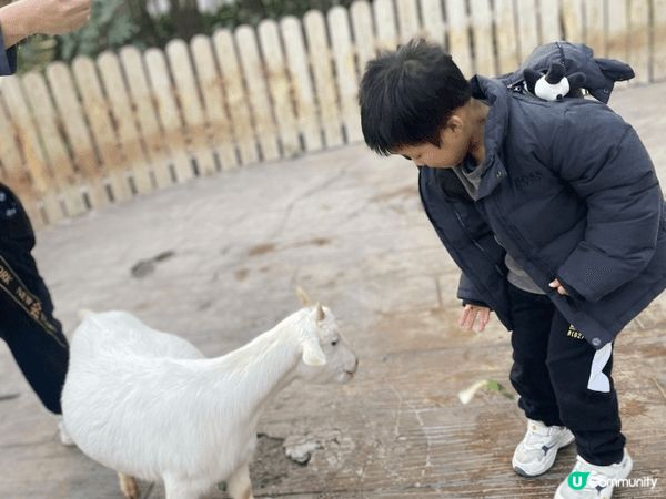 上海動物園位置易去、門票唔貴，一日遊好舒服，唔使長途跋涉。平...