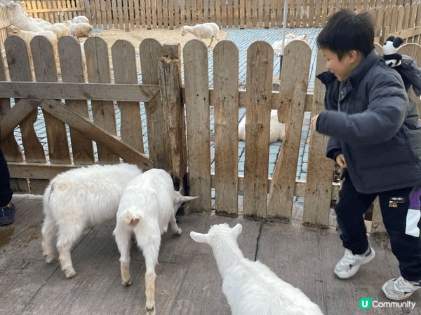 上海動物園位置易去、門票唔貴，一日遊好舒服，唔使長途跋涉。平...
