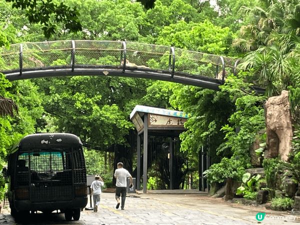 呢度係深圳野生動物園，對比起香港海洋公園同長隆動物園，呢度比...