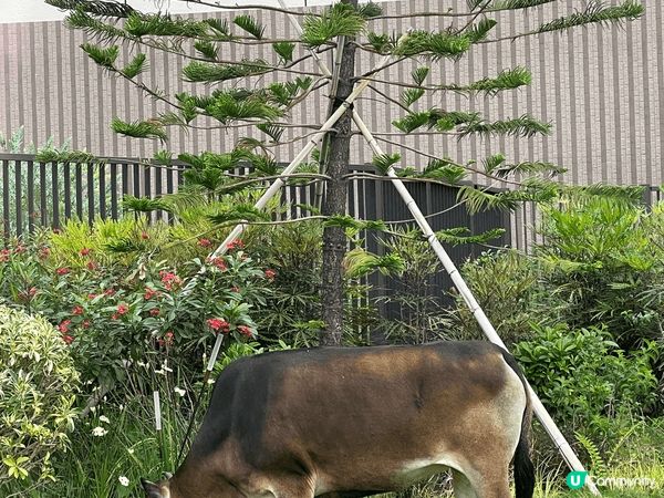 「西沙 GO PARK」是香港西沙（烏溪沙與西貢之間）的新地...