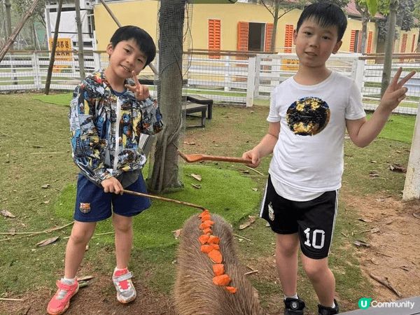 佛山心動樂園（盈香生態園）是一場充滿驚喜的感官盛宴。踏入園區...