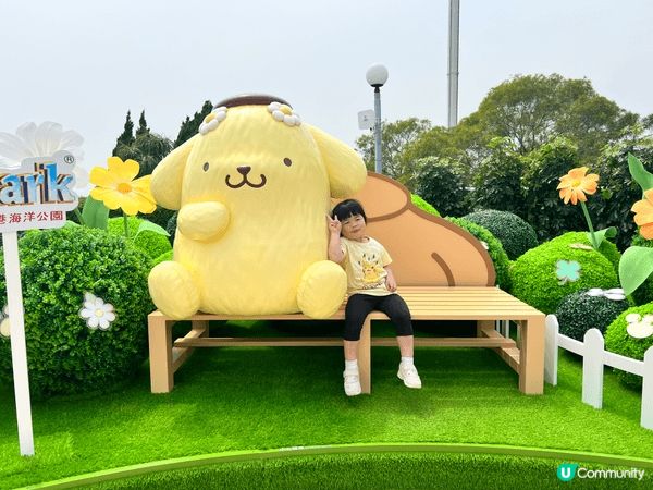 我哋成家都好鍾意Sanrio, 妹妹就鍾意Kurumi，家姐...