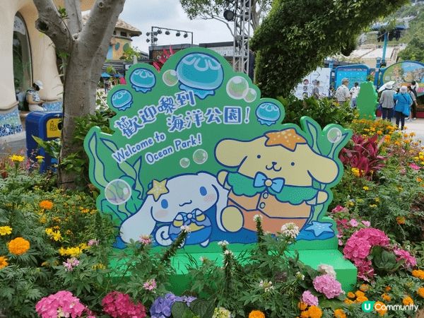 在海洋公園見到sanrio的公仔真的很開心，又靚又可愛打咭打...