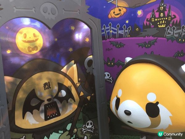 2018年果陣仲係讀緊書既時候，同表妹兩個去睇海洋公園哈囉喂...