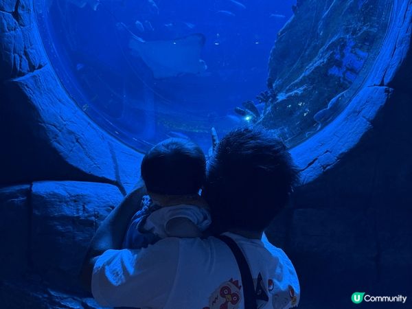 海洋公園，黃金海岸，賽馬會啟德水上運動中心，也是親子好去處