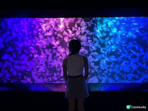 喜歡Sanrio的Kuromi，知道海洋公園與Sanrio與...