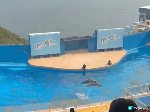 海洋公園每次都能帶給我與家人歡樂及意義，不但能看很多稀奇的動...