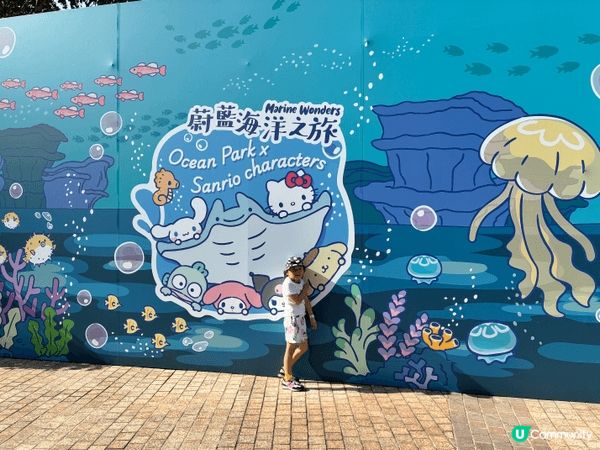 喜歡Hello Kitty 是 因為她是Sanrio 最具代...