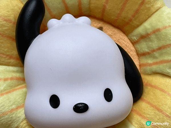 這張圖片地點是Sanrio專門店拍的，而我喜歡Sanrio角...