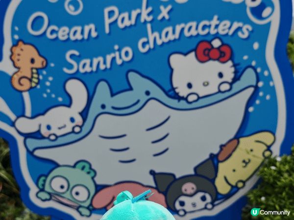 地點正是正在舉行Pompompurin 30周年秘密花園慶祝...
