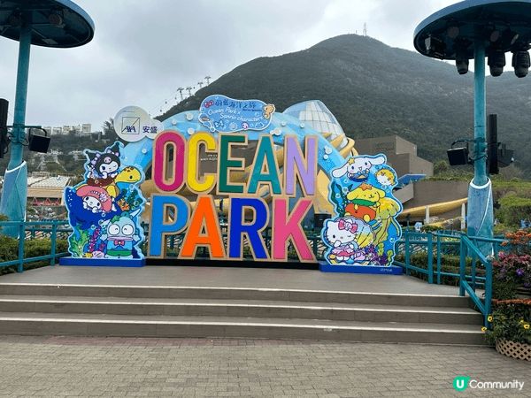 海洋公園親親熊貓並於園內海皇餐廳慶祝生日、訂制了熊貓蛋糕、開...