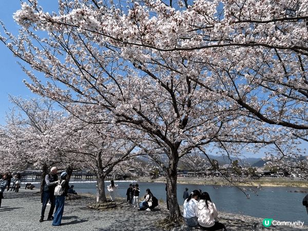 上次的大阪親子賞花之旅，是一趟兼具休閒與寓教於樂的完美行程。...